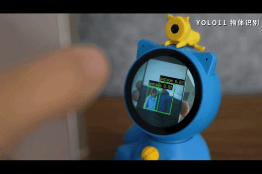 yolo11.gif